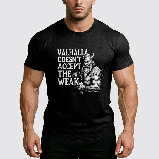 Viking Motivation T-Shirt- AA06962