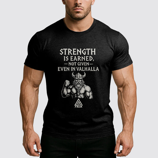 Viking Motivation T-Shirt- AA06974